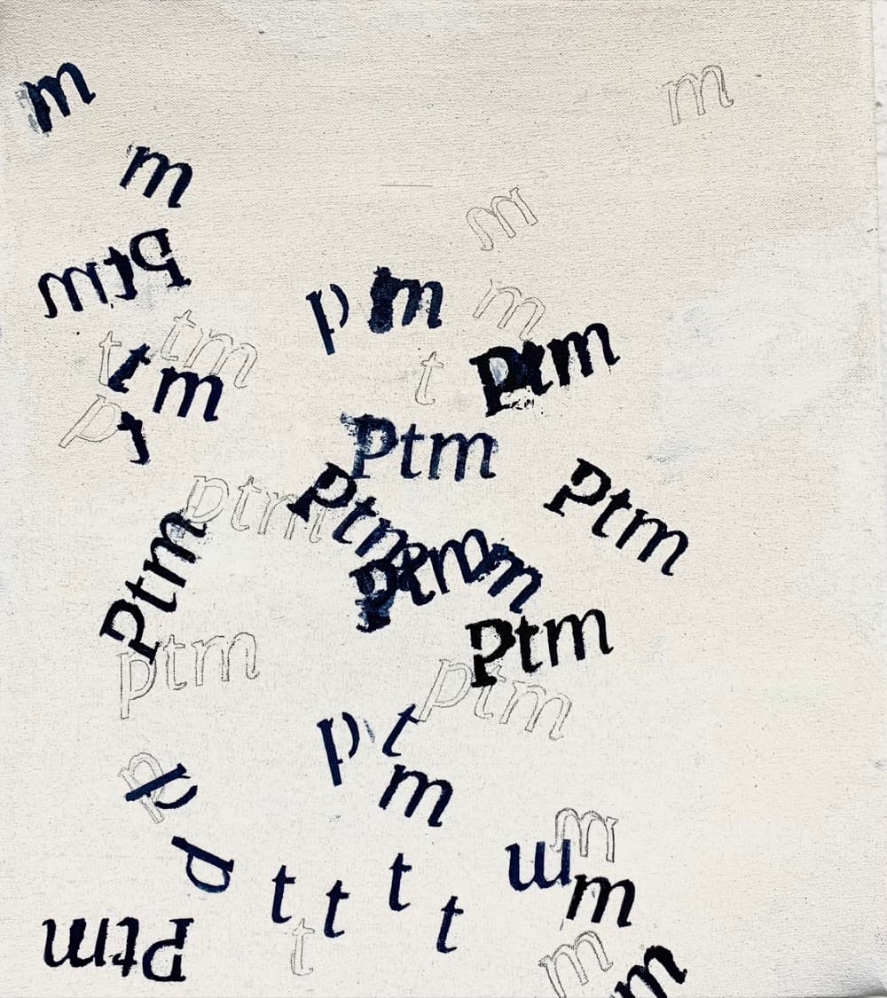 PTM 3